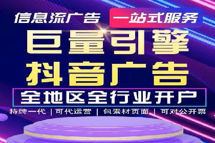 顶级SEM运营公司案例分析